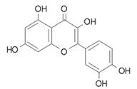斗球体育直播斗球官方正版简介