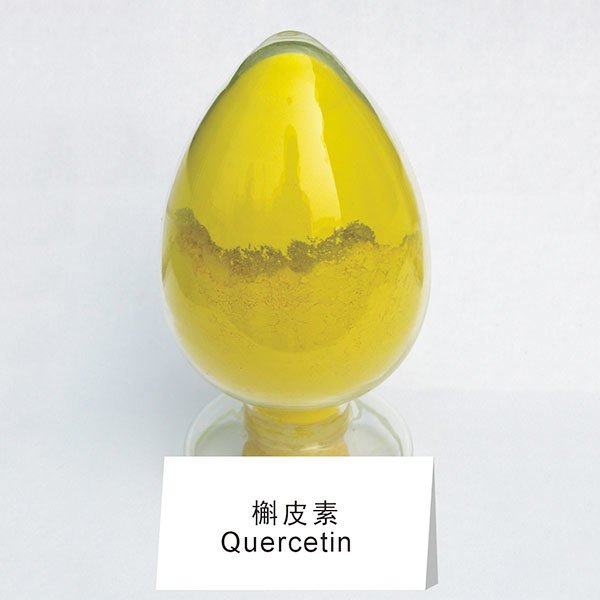 企业实力